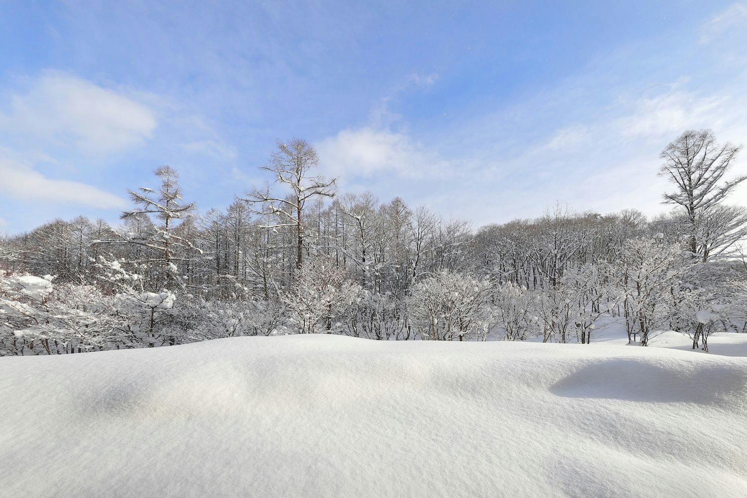 自家源泉100％かけ流し 高山龍神温泉 龍リゾート＆スパ