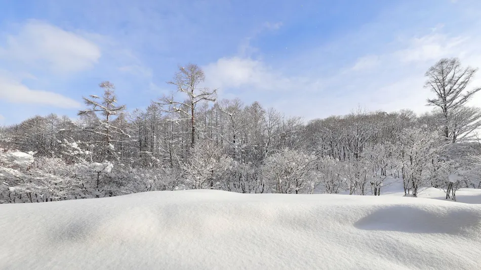 Jikagen-sen 100% Kakenagashi Takayama Ryujin Onsen Ryu Resort & Spa