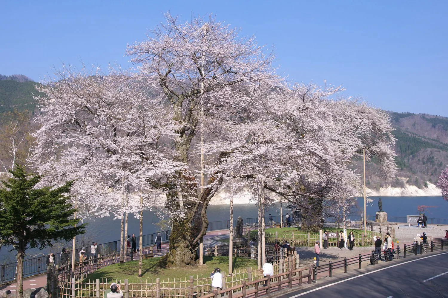 【Sakura Shokawa】Sekitar 15 menit dengan mobil dari penginapan kami