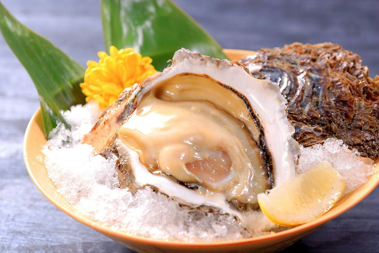 【料理グレードUP】初夏限定。今が旬の岩ガキを食す＜岩ガキ・鮮魚刺盛り・鮑踊り焼き＞