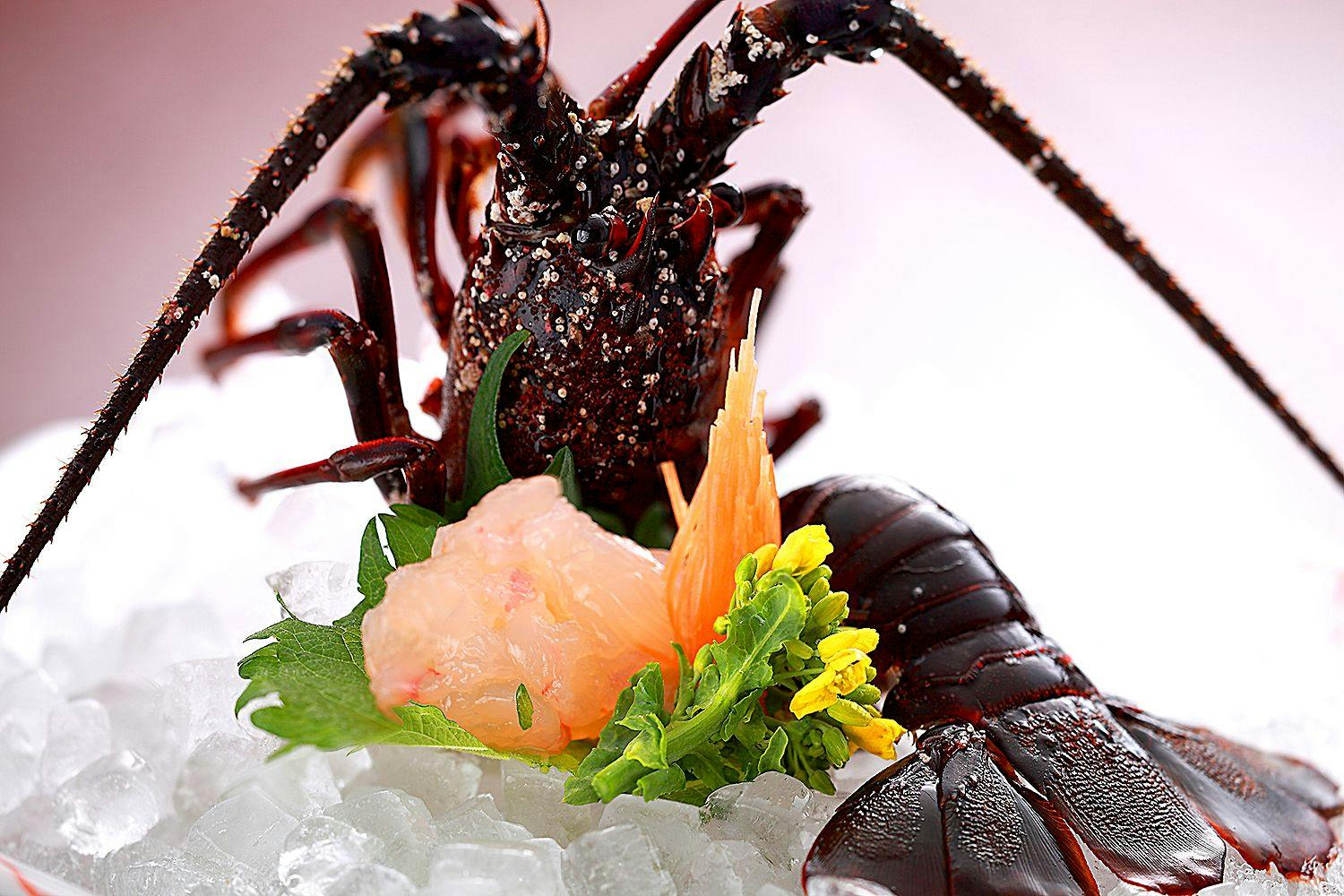 【料理グレードUP】伊勢海老のお造りが楽しめる＜伊勢海老のお造り付＞