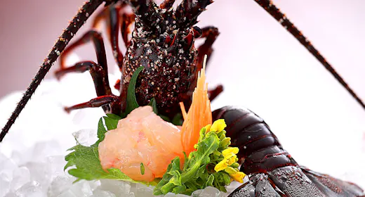 【料理グレードUP】伊勢海老のお造りが楽しめる<伊勢海老のお造り付>