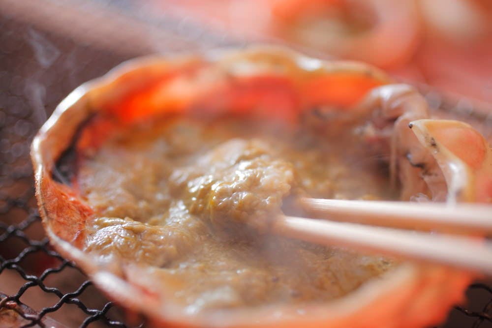 １日８組限定　～間人蟹と地魚料理～　大人の絶景隠れ宿　寿海亭