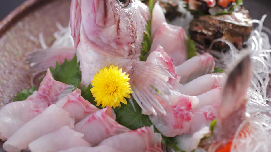 1 Day 8 Groups Limited - Taiza Crab and Local Fish Cuisine - Adult's Scenic Hidden Inn Jukaitei