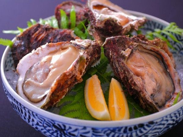 １日８組限定　～間人蟹と地魚料理～　大人の絶景隠れ宿　寿海亭