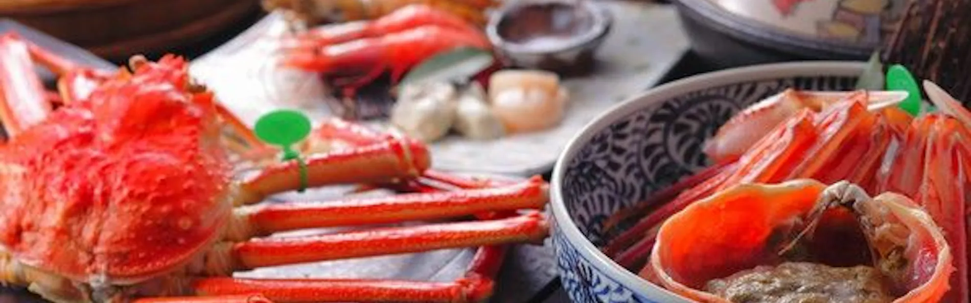 1日8組限定 ~間人蟹と地魚料理~ 大人の絶景隠れ宿 寿海亭
