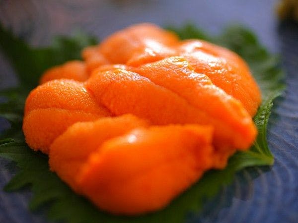 １日８組限定　～間人蟹と地魚料理～　大人の絶景隠れ宿　寿海亭