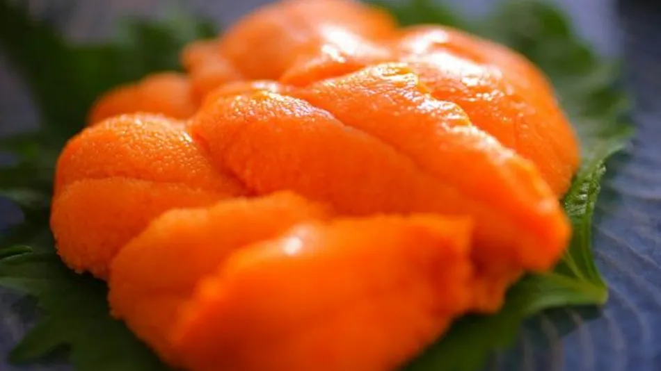 1 Day 8 Groups Limited - Taiza Crab and Local Fish Cuisine - Adult's Scenic Hidden Inn Jukaitei
