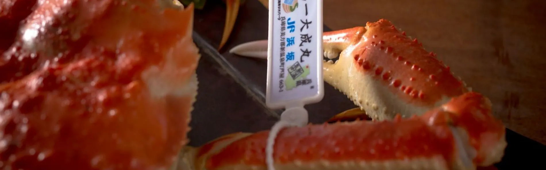 1日8組限定 ~間人蟹と地魚料理~ 大人の絶景隠れ宿 寿海亭