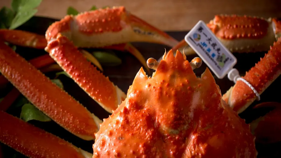 1 Day 8 Groups Limited - Taiza Crab and Local Fish Cuisine - Adult's Scenic Hidden Inn Jukaitei