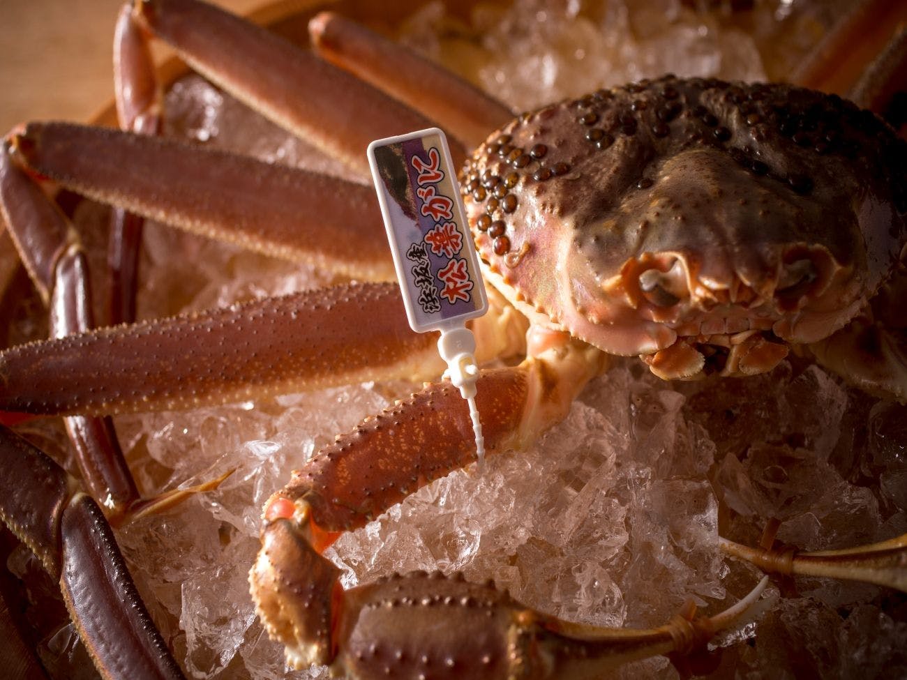 １日８組限定　～間人蟹と地魚料理～　大人の絶景隠れ宿　寿海亭