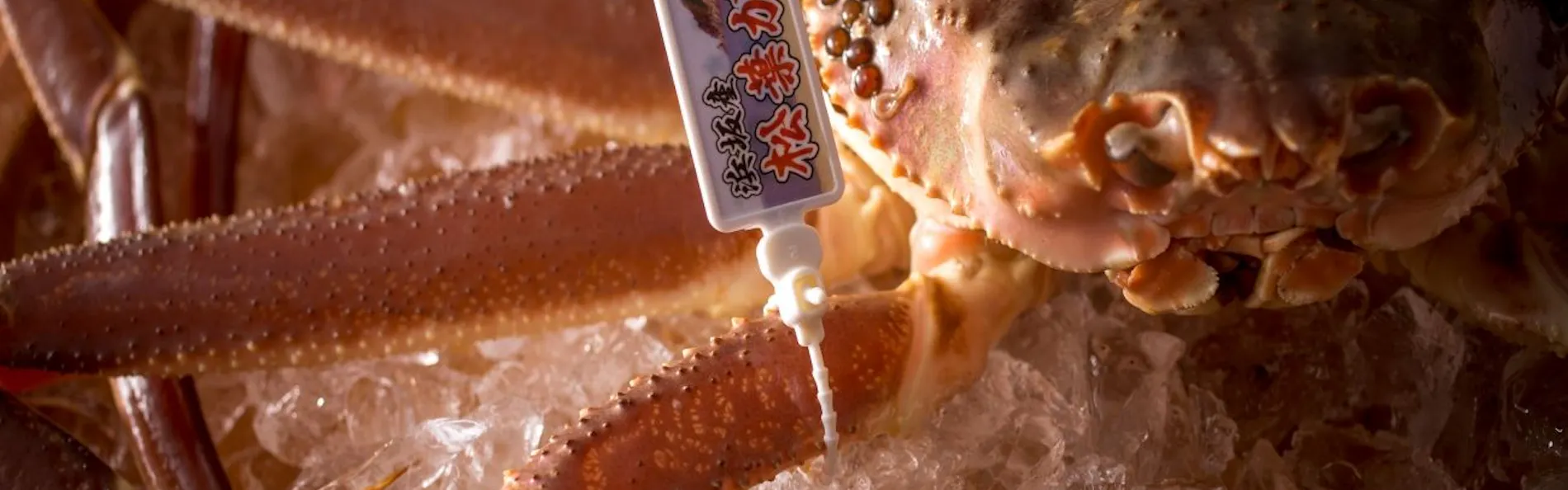 1日8組限定 ~間人蟹と地魚料理~ 大人の絶景隠れ宿 寿海亭