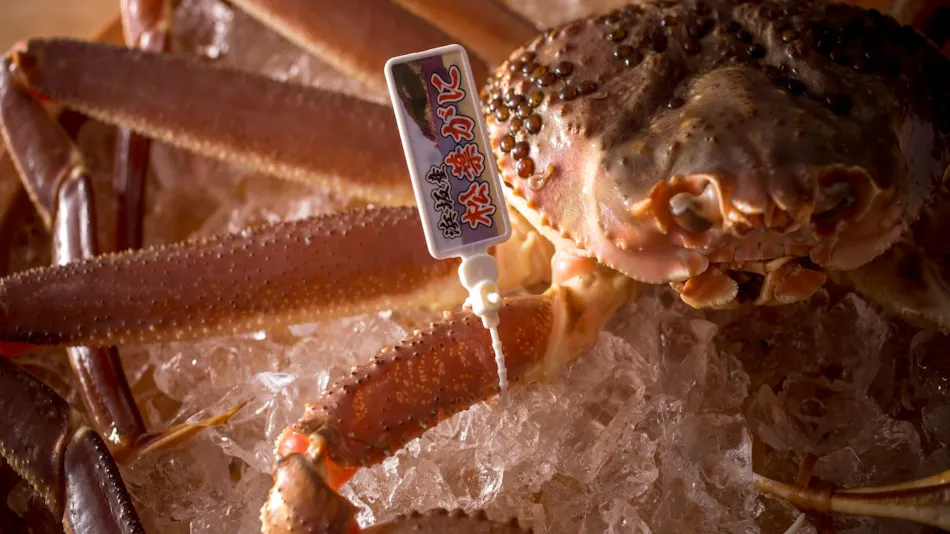 1 Day 8 Groups Limited - Taiza Crab and Local Fish Cuisine - Adult's Scenic Hidden Inn Jukaitei