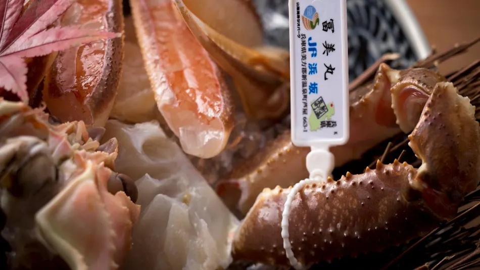 1 Day 8 Groups Limited - Taiza Crab and Local Fish Cuisine - Adult's Scenic Hidden Inn Jukaitei