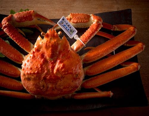 【松葉ガニ】冬の味覚の王様を茹でガニで！