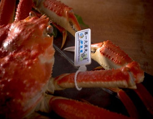 【松葉ガニ】冬の味覚の王様を茹でガニで！