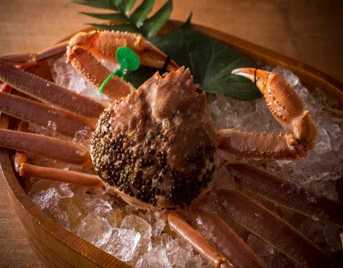 【間人ガニ】調理直前まで活きている新鮮さ