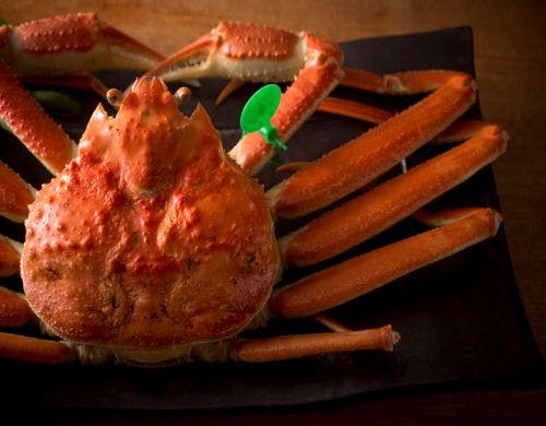 【間人ガニ】「幻の蟹」を茹でガニで！