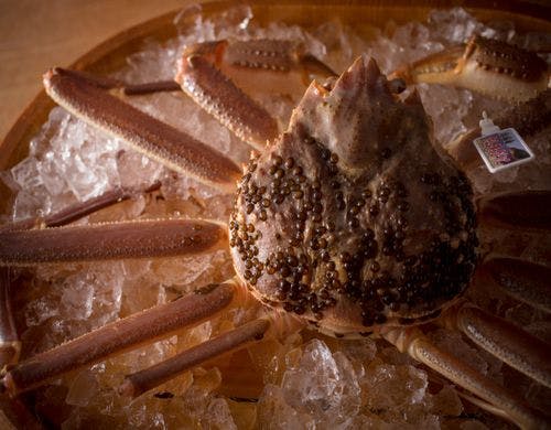 【松葉ガニ】調理直前まで活きている新鮮さ