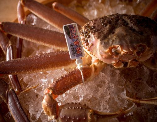 【松葉ガニ】調理直前まで活きている新鮮さ