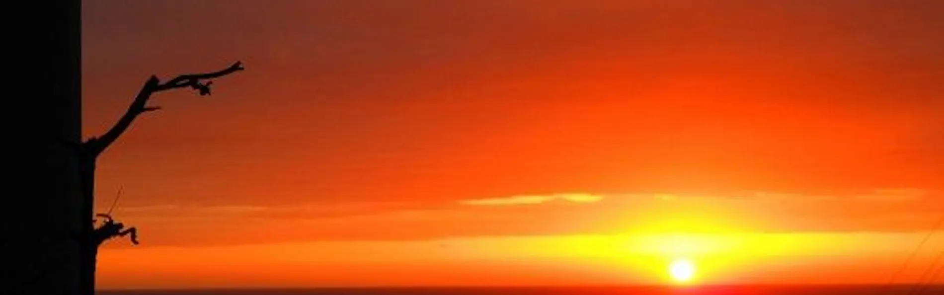 1日8組限定 ~間人蟹と地魚料理~ 大人の絶景隠れ宿 寿海亭