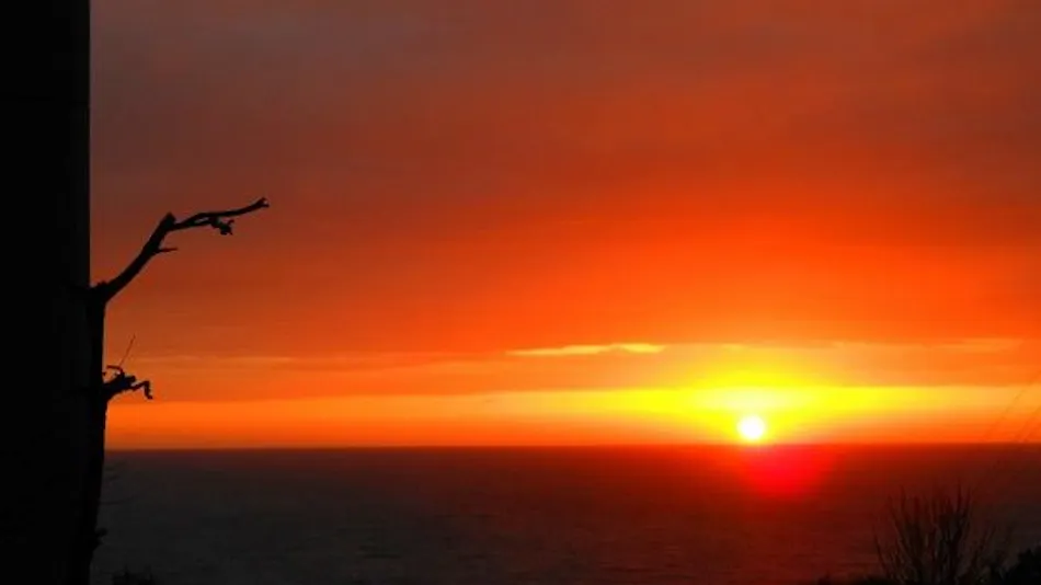 1 Day 8 Groups Limited - Taiza Crab and Local Fish Cuisine - Adult's Scenic Hidden Inn Jukaitei