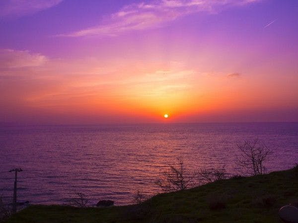 １日８組限定　～間人蟹と地魚料理～　大人の絶景隠れ宿　寿海亭