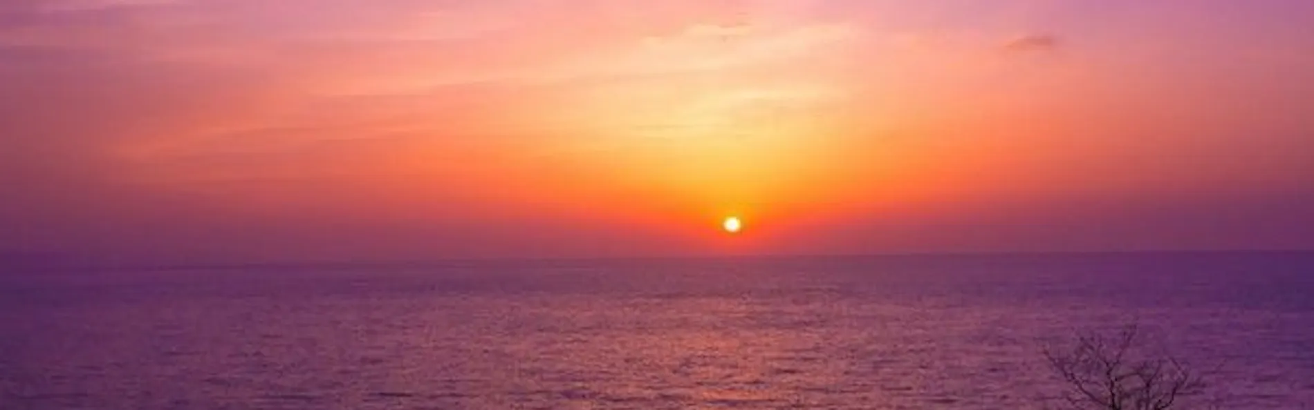 1日8組限定 ~間人蟹と地魚料理~ 大人の絶景隠れ宿 寿海亭