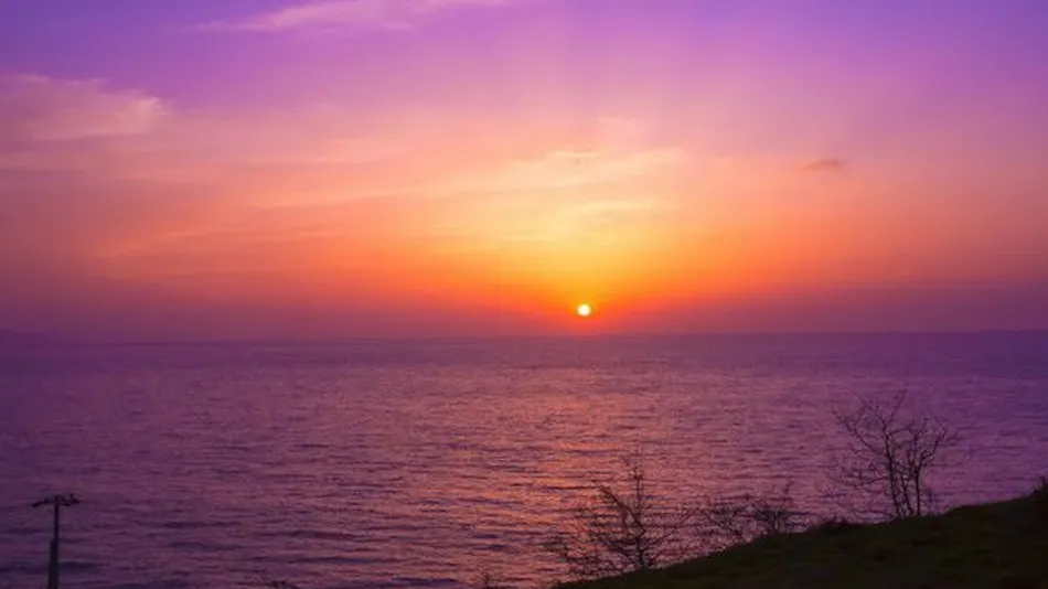 1 Day 8 Groups Limited - Taiza Crab and Local Fish Cuisine - Adult's Scenic Hidden Inn Jukaitei