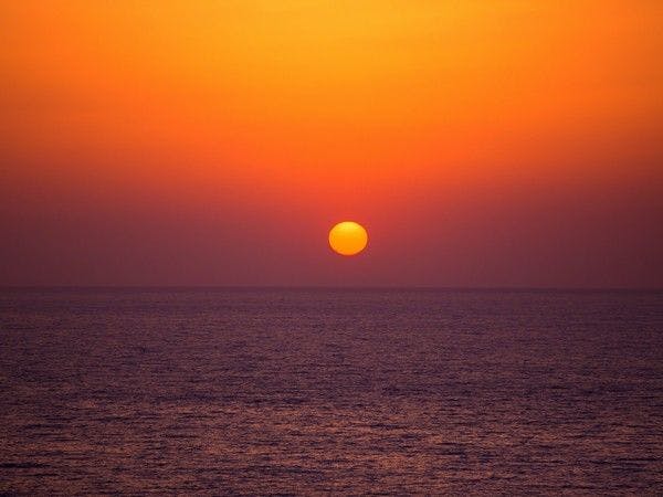 １日８組限定　～間人蟹と地魚料理～　大人の絶景隠れ宿　寿海亭