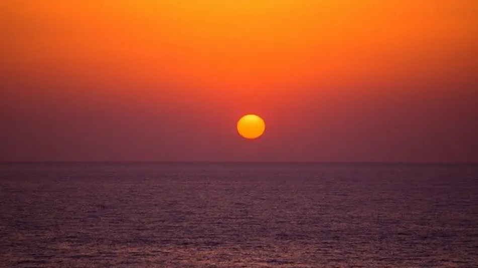 1 Day 8 Groups Limited - Taiza Crab and Local Fish Cuisine - Adult's Scenic Hidden Inn Jukaitei