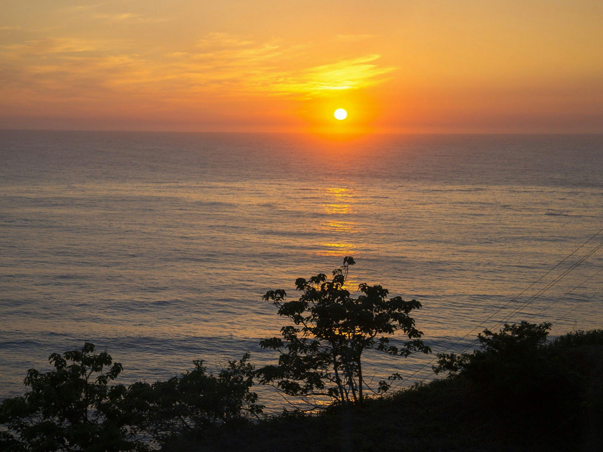 １日８組限定　～間人蟹と地魚料理～　大人の絶景隠れ宿　寿海亭
