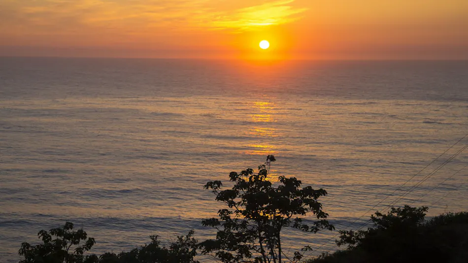 1 Day 8 Groups Limited - Taiza Crab and Local Fish Cuisine - Adult's Scenic Hidden Inn Jukaitei