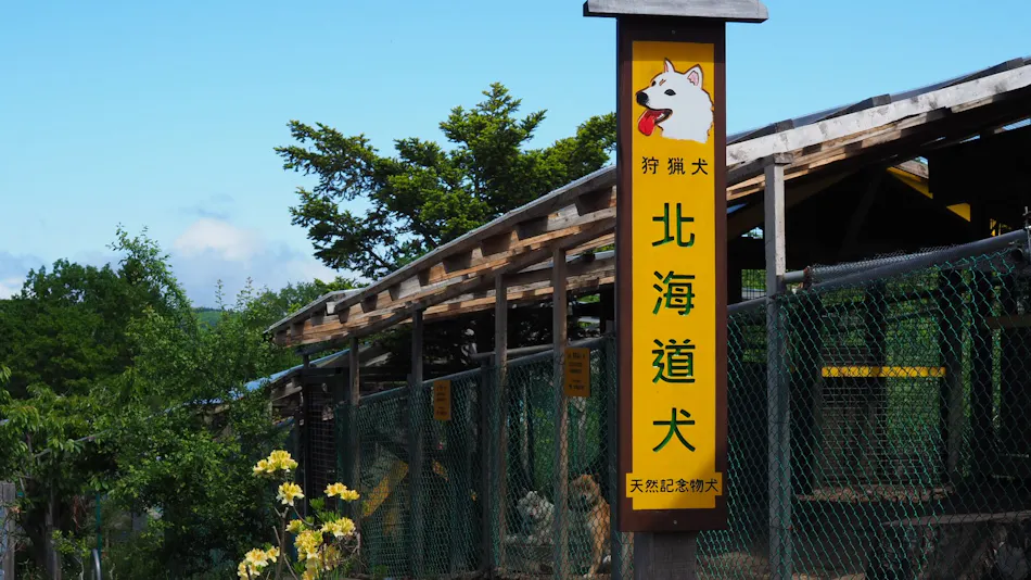 Auberge Kita no Dan Dan