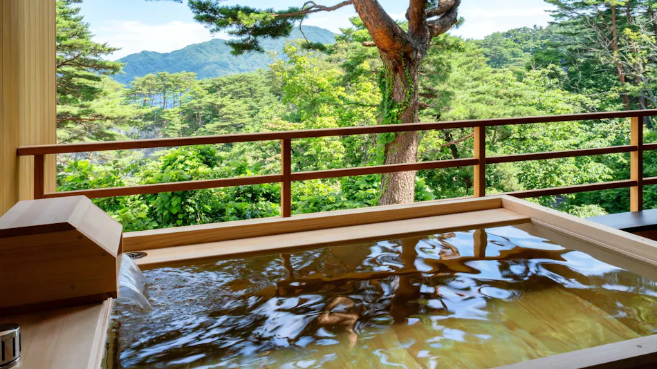 Sanriku Coast Jodogahama Park Hotel