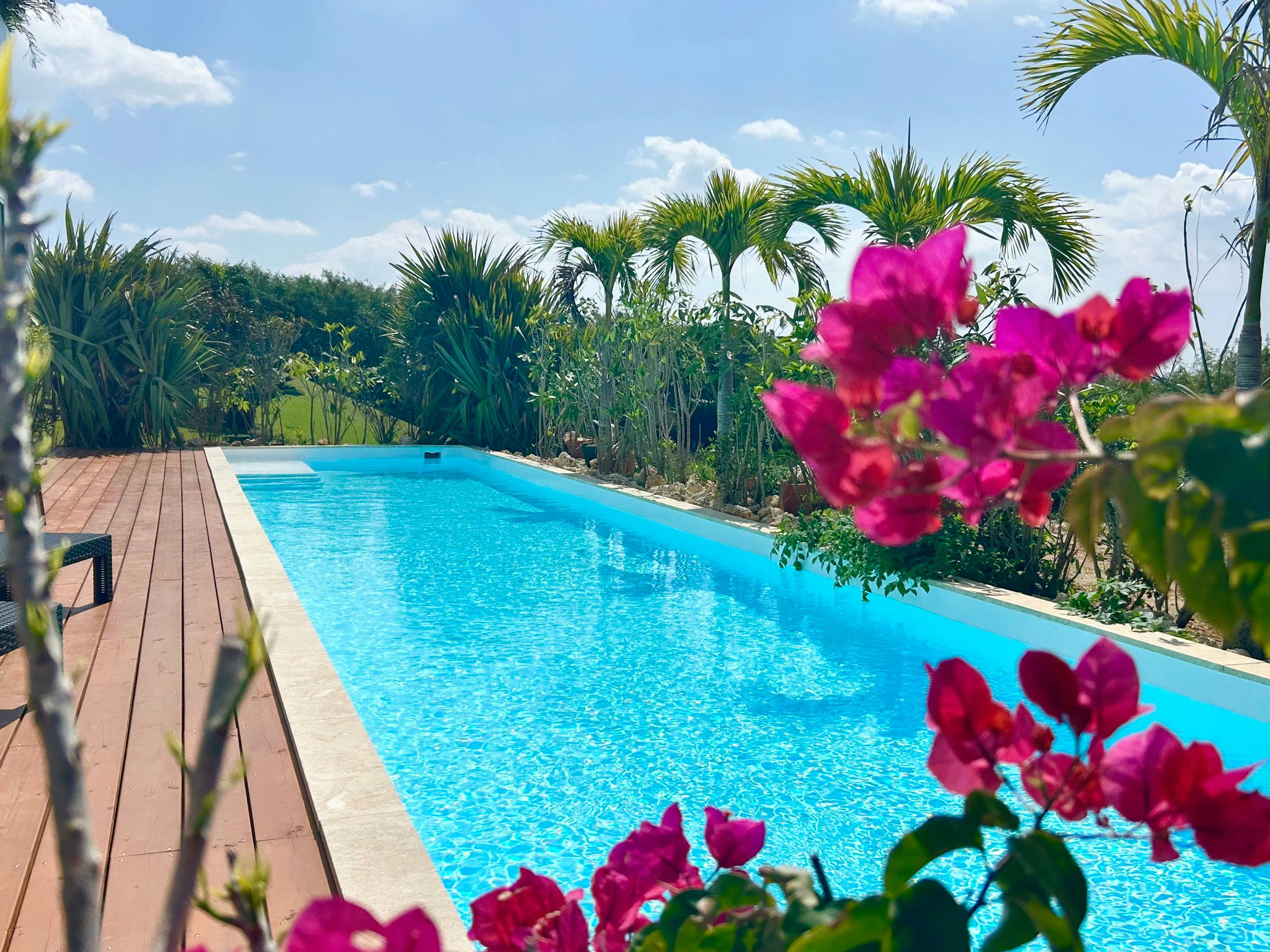 สระว่ายน้ำในสวน (Garden Pool)