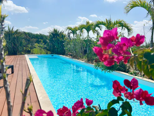 สระว่ายน้ำในสวน (Garden Pool)