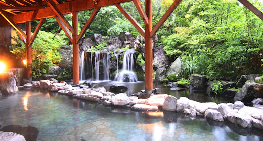 【超值优惠×单点】比常规价格更划算!/附菜す乃餐饮券5,000日元份额