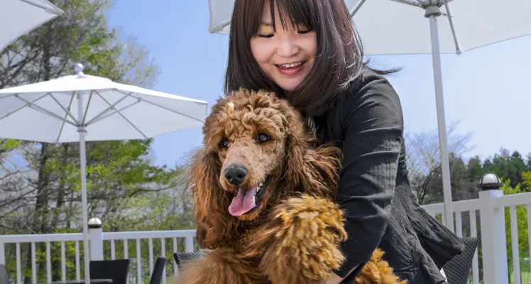 星野リゾート リゾナーレ那須を見た人におすすめのペットと泊まれる宿 選 宿泊予約は 一休 Com 星野リゾート リゾナーレ那須を見た人におすすめのペットと泊まれる宿 選 宿泊予約は 一休 Com