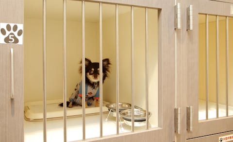 21年最新 那須 塩原周辺でペットと泊まれる宿ランキング 一休 Com 21年最新 那須 塩原周辺でペットと泊まれる宿ランキング 一休 Com