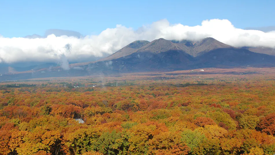 Hotel Epinard Nasu