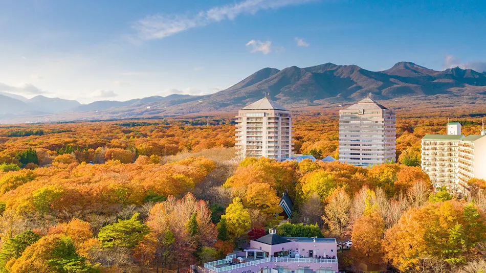 Hotel Epinard Nasu
