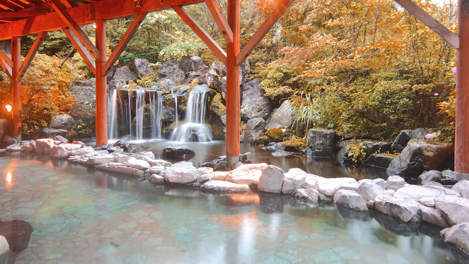 Hotel Epinard Nasu