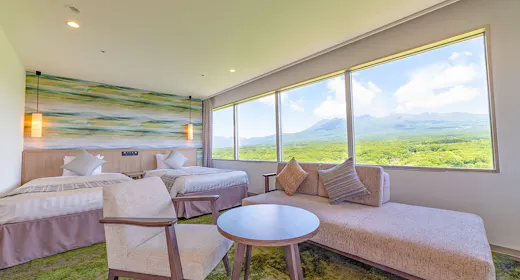 山侧/新绊角落套房(禁烟日式和洋室)