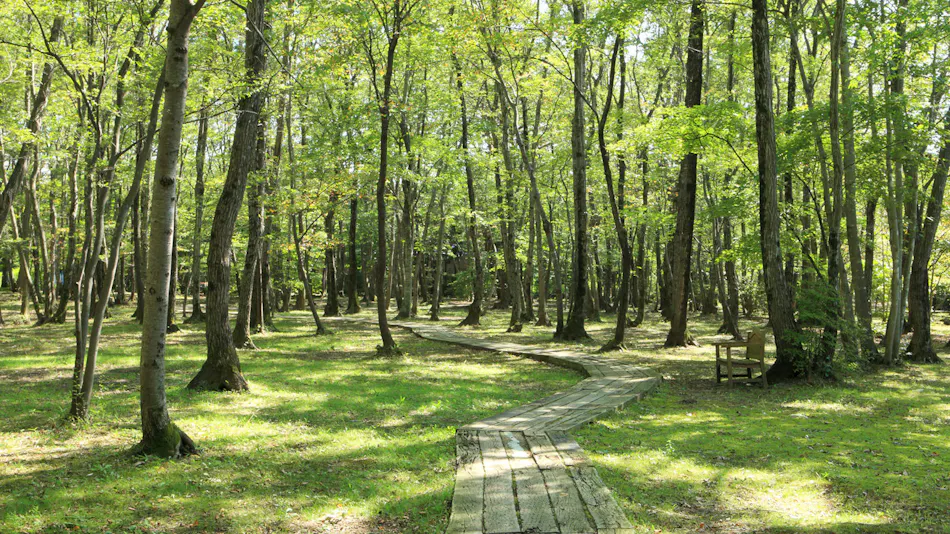 Hotel Epinard Nasu