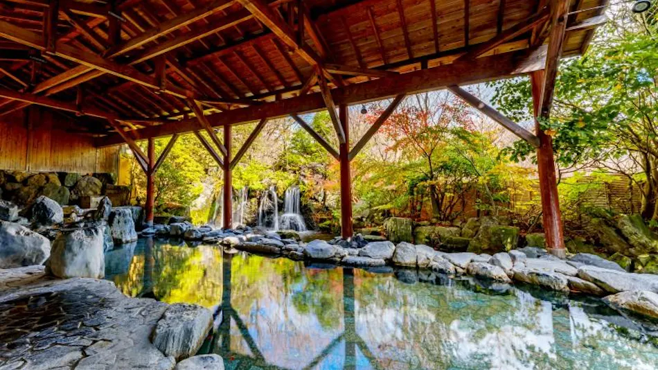 Hotel Epinard Nasu