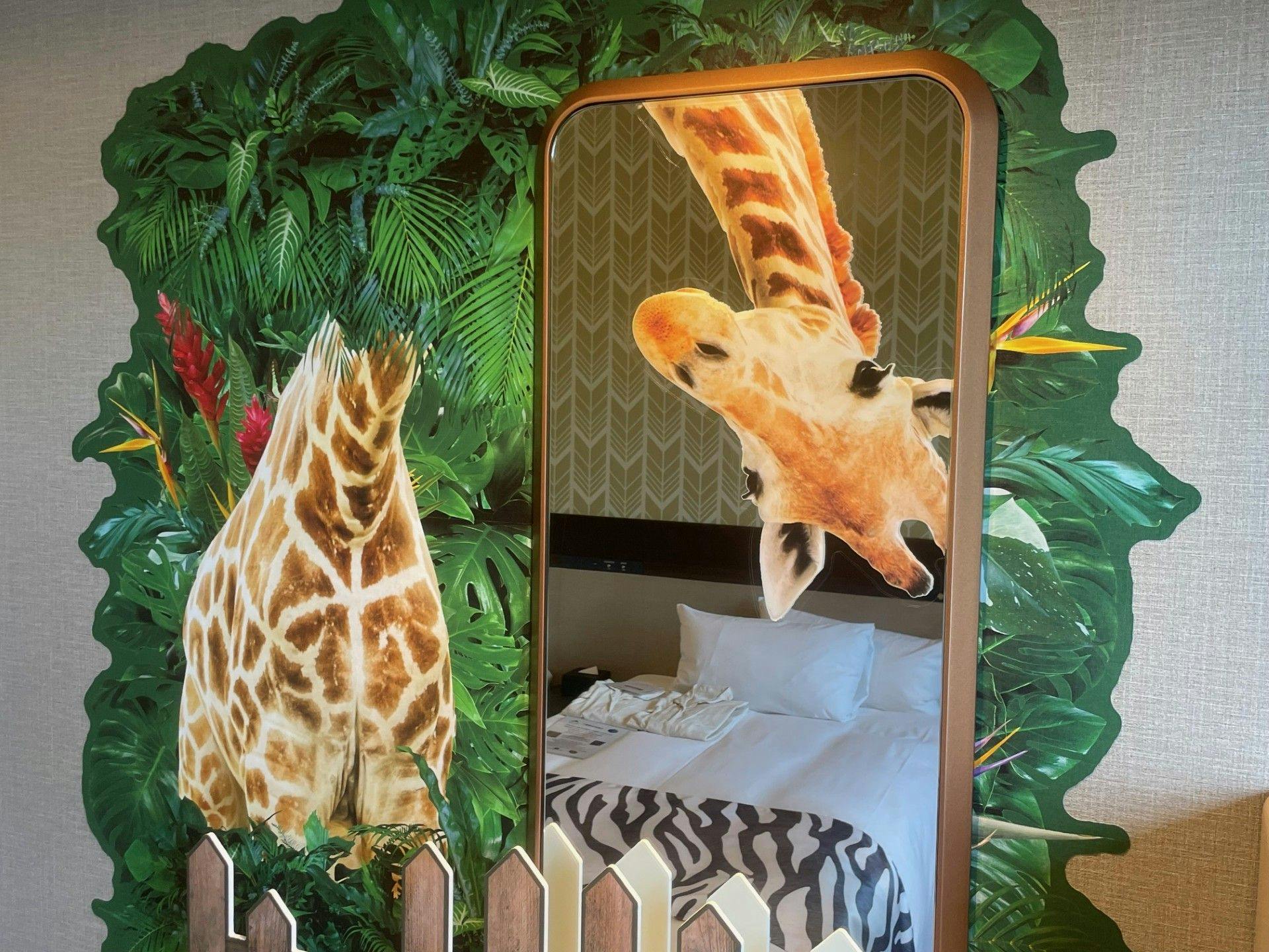 Kamar Safari