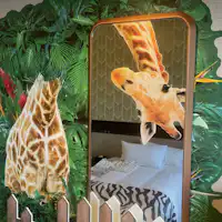 Kamar Safari