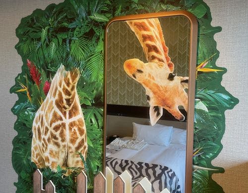 サファリルーム