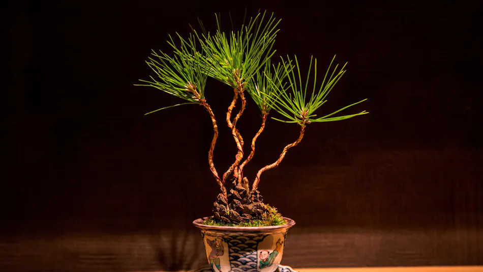 UAN kanazawa